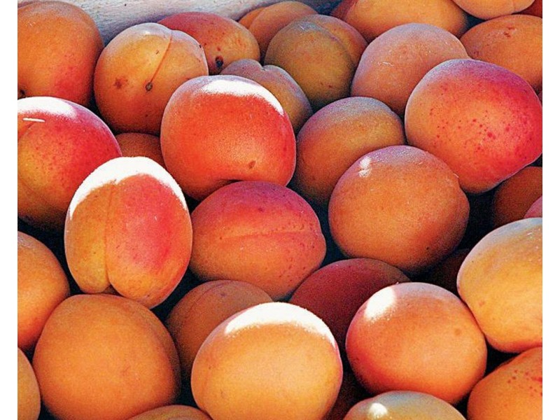 452 Glenvale Rd, Leslie Dam QLD 4370