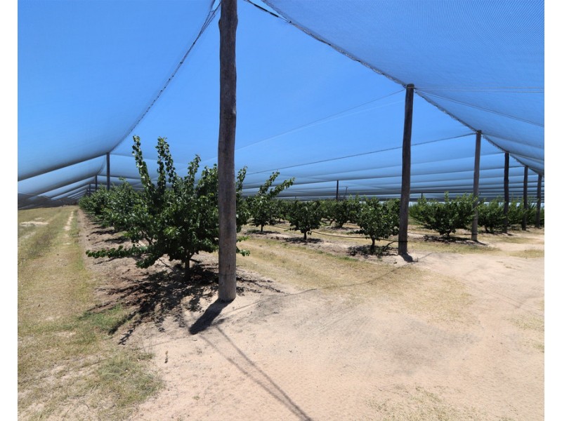 452 Glenvale Rd, Leslie Dam QLD 4370