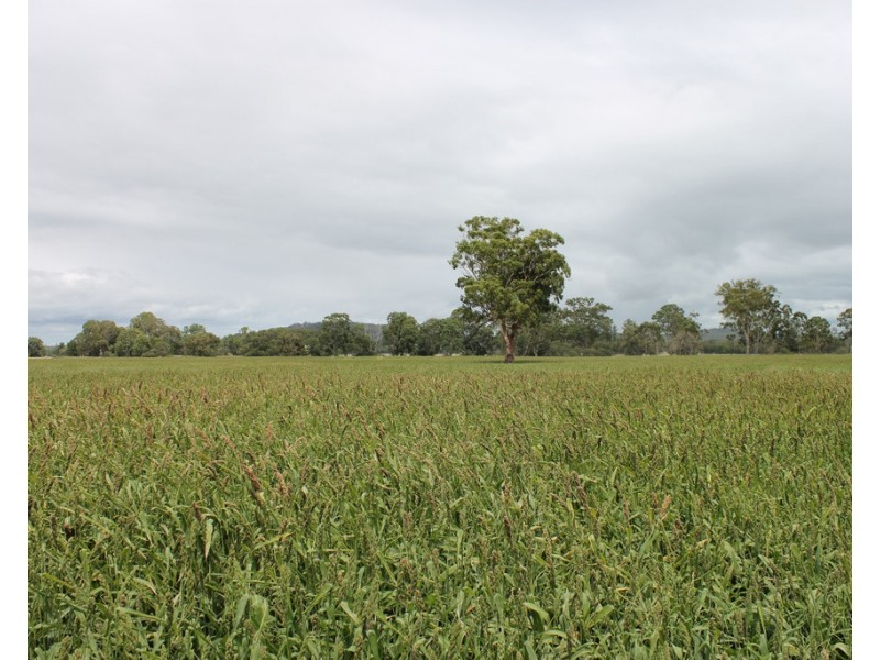 126 Fontainbleau Road, Clifton QLD 4361