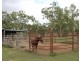 126 Fontainbleau Road, Clifton QLD 4361