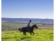 167 Caunter Rd, Tannymorel QLD 4372