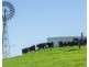167 Caunter Rd, Tannymorel QLD 4372