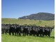 167 Caunter Rd, Tannymorel QLD 4372
