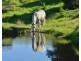 167 Caunter Rd, Tannymorel QLD 4372