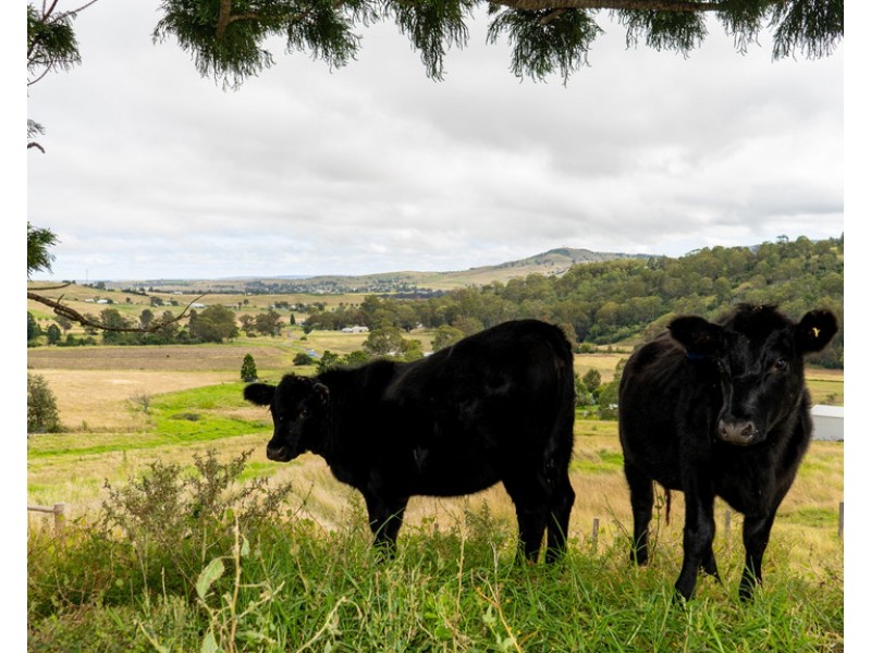 88 Spring Creek Rd, Killarney QLD 4373