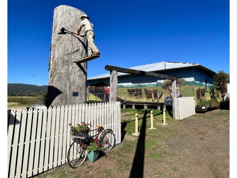 22 Willow Street, Killarney QLD 4373