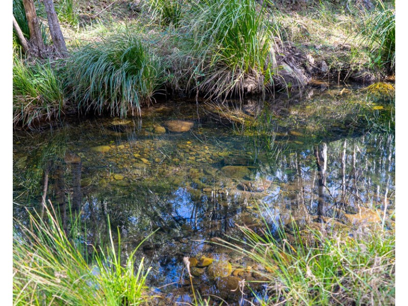 0 Emu Creek Rd, Emu Vale QLD 4371