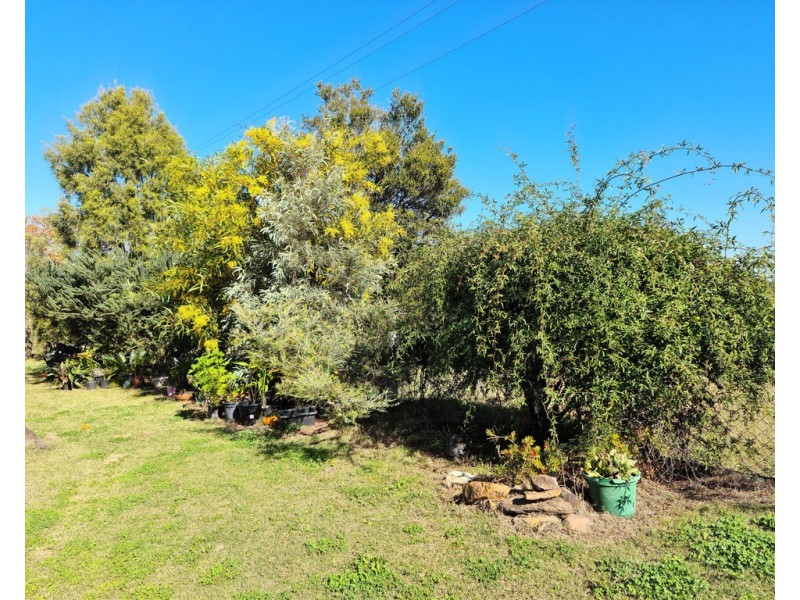 2 Vanneck St, Yangan QLD 4371