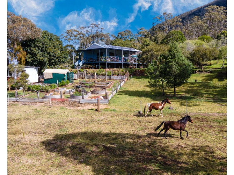 800 Emu Creek Road, Emu Vale QLD 4371