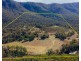 800 Emu Creek Road, Emu Vale QLD 4371