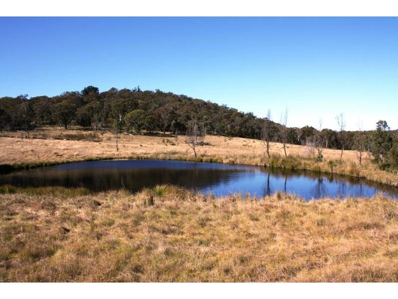 349 Rangeview Road, Dalveen, Warwick QLD 4370