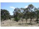 390 Blakes Road, Warwick QLD 4370