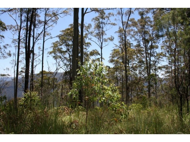 0 Gambubal Road, Mount Colliery QLD 4370