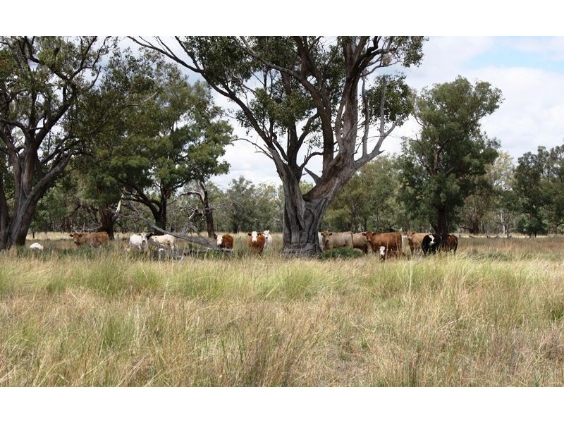 0 Raleigh Rd, Silver Spur QLD 4385