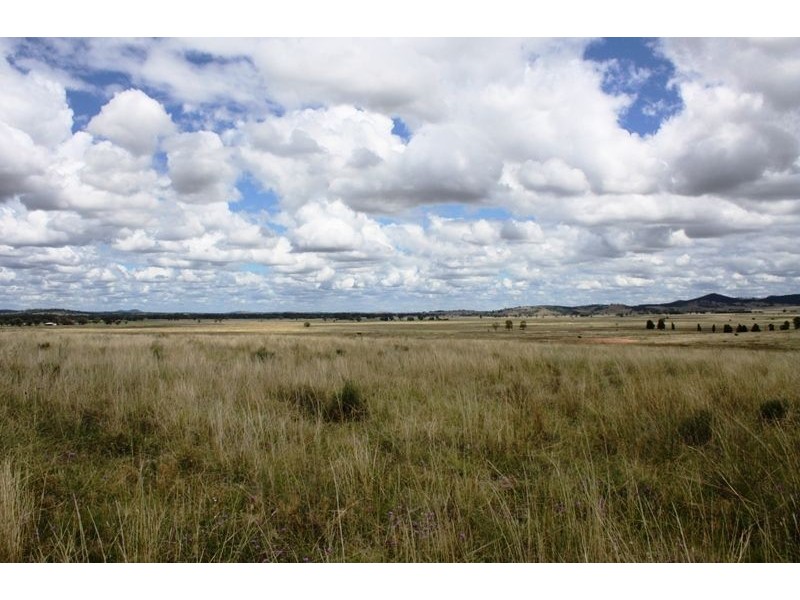 0 Raleigh Rd, Silver Spur QLD 4385
