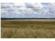0 Raleigh Rd, Silver Spur QLD 4385