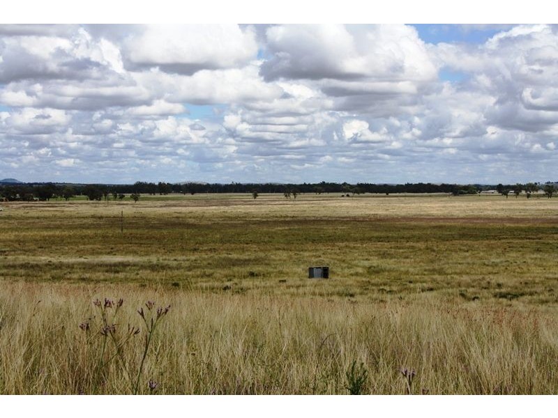 0 Raleigh Rd, Silver Spur QLD 4385