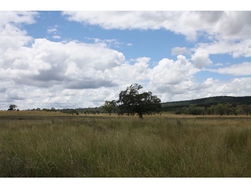 0 Raleigh Rd, Silver Spur QLD 4385