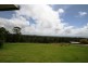 1123 Rivertree Rd, Rivertree NSW 2372