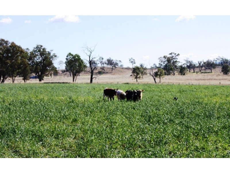 Lot 1 Lagoon Creek Rd, Greymare QLD 4370