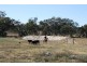 Lot 1 Lagoon Creek Rd, Greymare QLD 4370