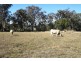 Lot 1 Lagoon Creek Rd, Greymare QLD 4370