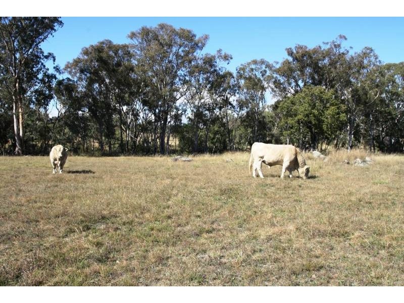 Lot 1 Lagoon Creek Rd, Greymare QLD 4370