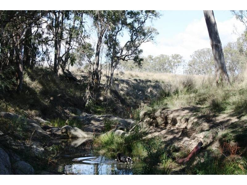 Lot 1 Lagoon Creek Rd, Greymare QLD 4370