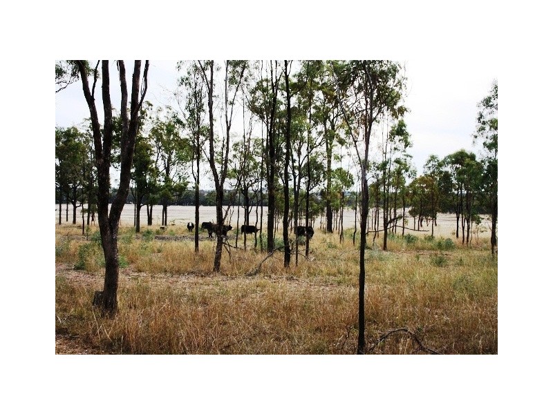 Lot 5 Back Creek Rd, Karara QLD 4352