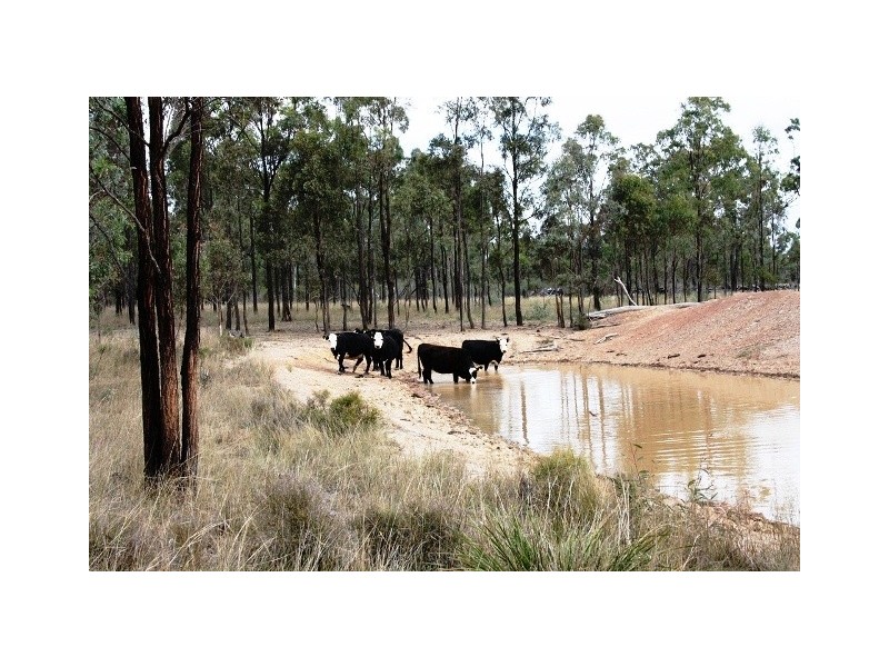 Lot 5 Back Creek Rd, Karara QLD 4352