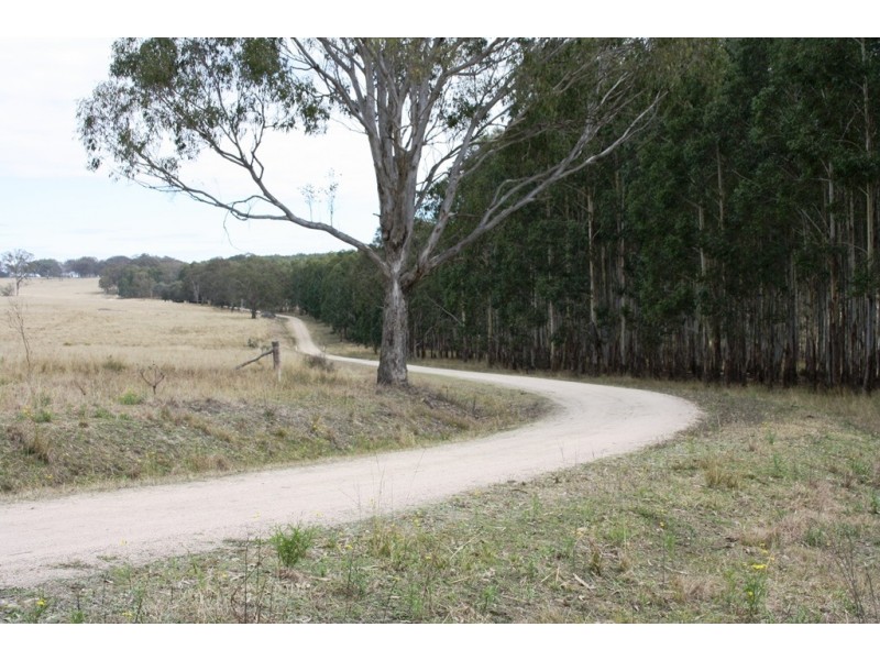Lot 101 Wylie Creek Road, Wylie Creek NSW 2372