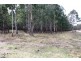 Lot 101 Wylie Creek Road, Wylie Creek NSW 2372