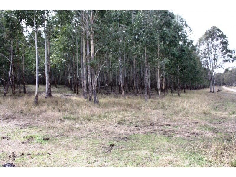 Lot 101 Wylie Creek Road, Wylie Creek NSW 2372