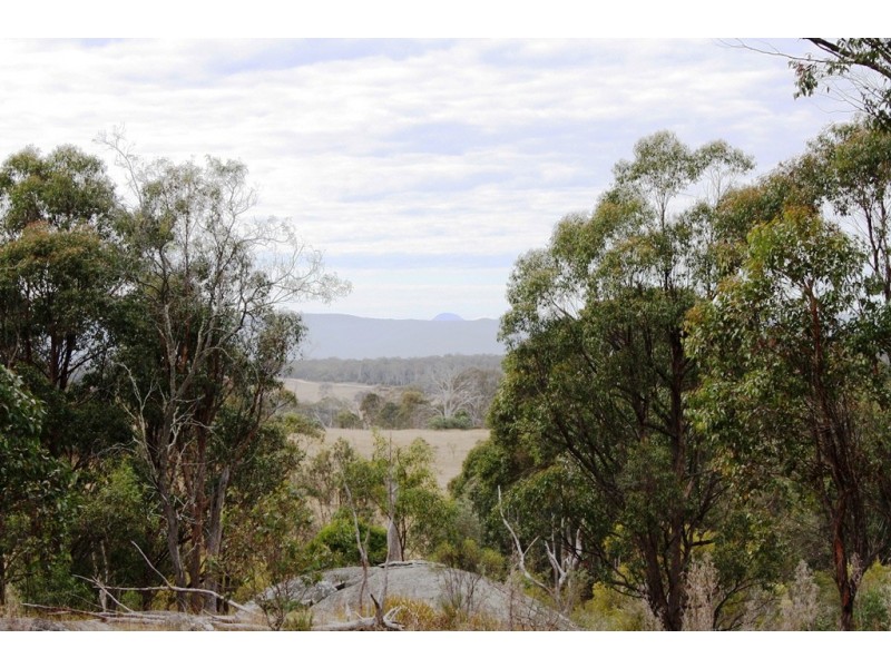 Lot 101 Wylie Creek Road, Wylie Creek NSW 2372