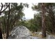 Lot 101 Wylie Creek Road, Wylie Creek NSW 2372