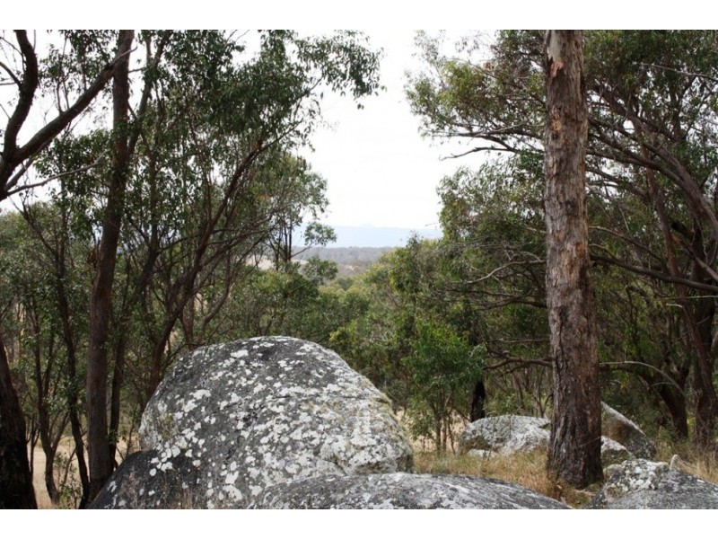 Lot 101 Wylie Creek Road, Wylie Creek NSW 2372