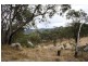 Lot 101 Wylie Creek Road, Wylie Creek NSW 2372