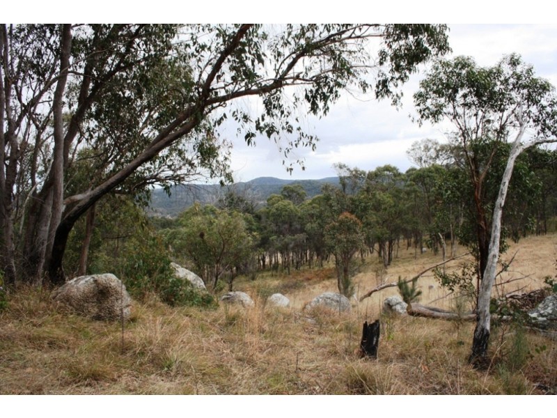 Lot 101 Wylie Creek Road, Wylie Creek NSW 2372