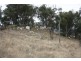 Lot 101 Wylie Creek Road, Wylie Creek NSW 2372