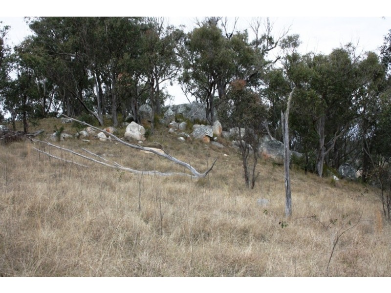 Lot 101 Wylie Creek Road, Wylie Creek NSW 2372