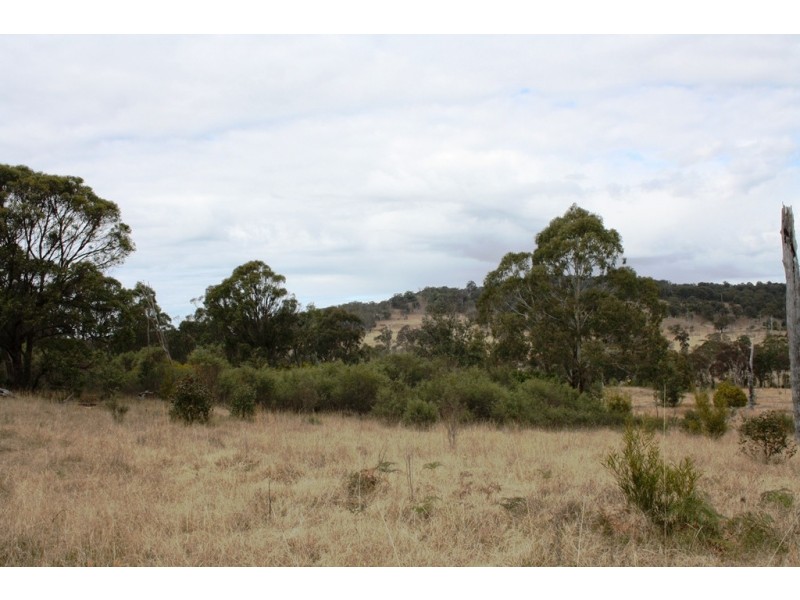 Lot 101 Wylie Creek Road, Wylie Creek NSW 2372