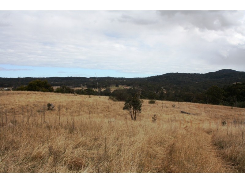 Lot 101 Wylie Creek Road, Wylie Creek NSW 2372