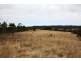 Lot 101 Wylie Creek Road, Wylie Creek NSW 2372