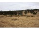 Lot 101 Wylie Creek Road, Wylie Creek NSW 2372