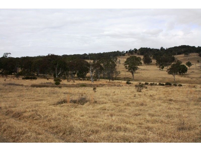 Lot 101 Wylie Creek Road, Wylie Creek NSW 2372