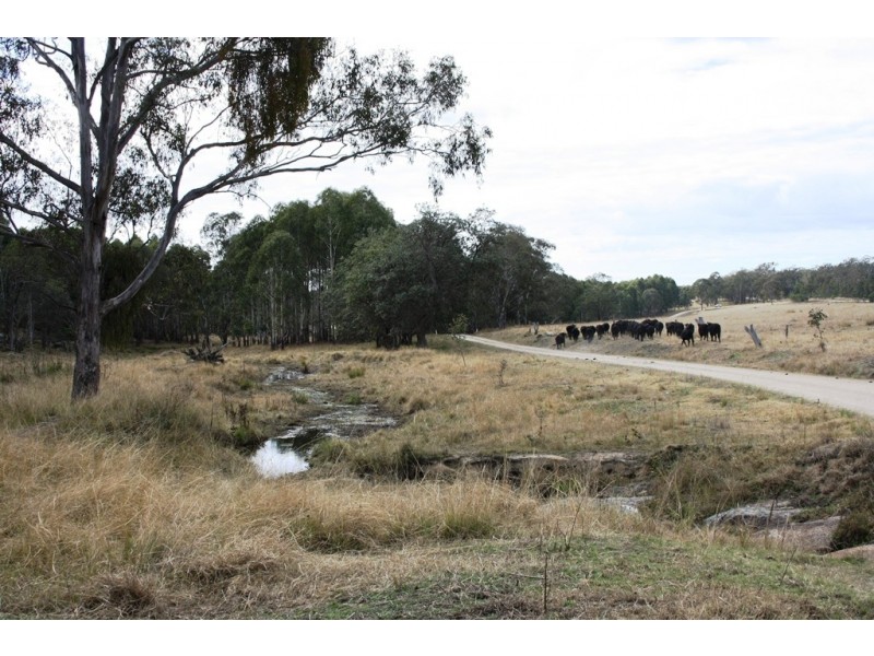 Lot 101 Wylie Creek Road, Wylie Creek NSW 2372