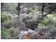 Lot 101 Wylie Creek Road, Wylie Creek NSW 2372