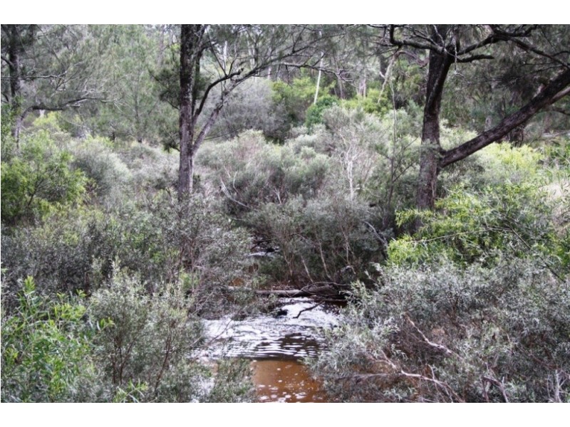Lot 101 Wylie Creek Road, Wylie Creek NSW 2372