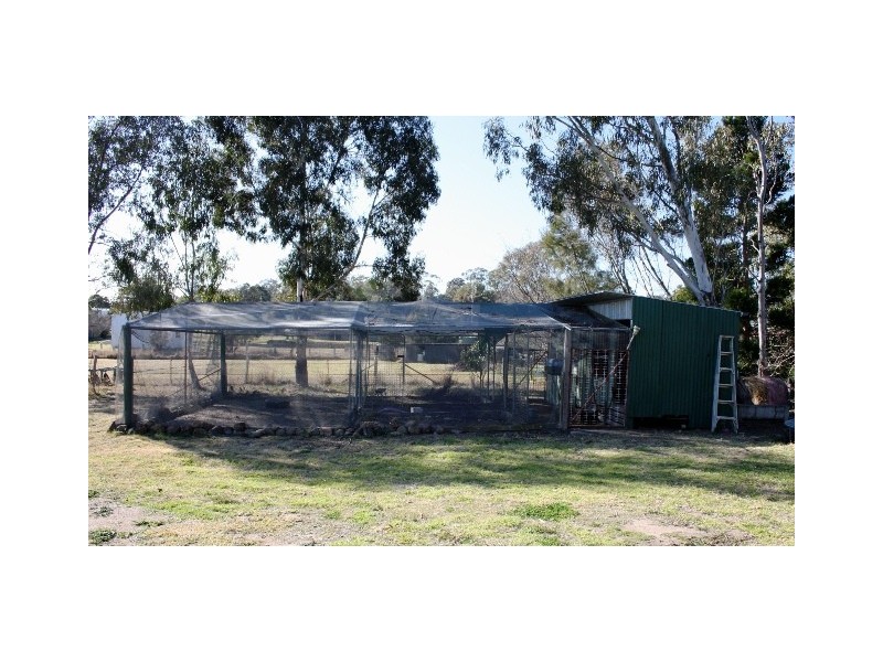 11 Warner Street, Warwick QLD 4370