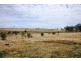 528 Roona Rd, Junabee QLD 4370